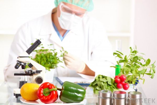 Engenharia de alimentos