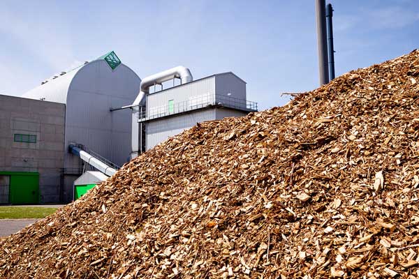 Biomassa como energia renovável