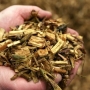 Biomassa: vantagens e desvantagens!